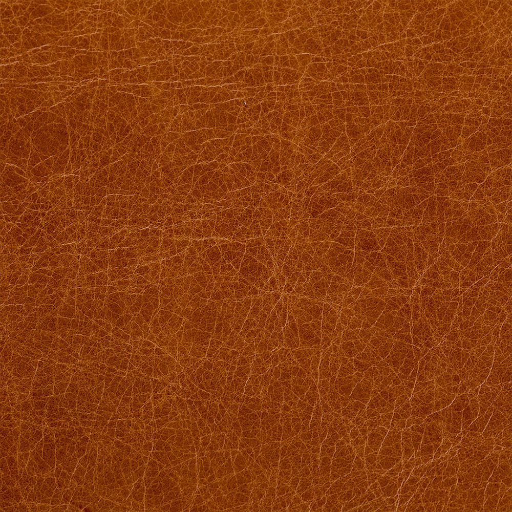 Swatch Image