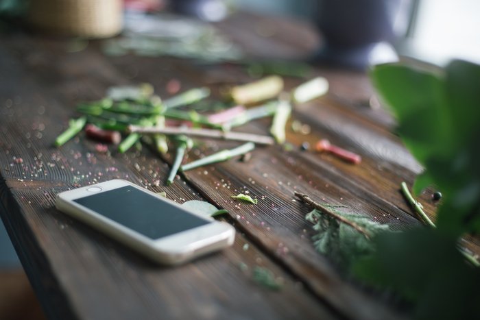 Transform Your Garden With Our Pick of the 11 Best Gardening Apps 