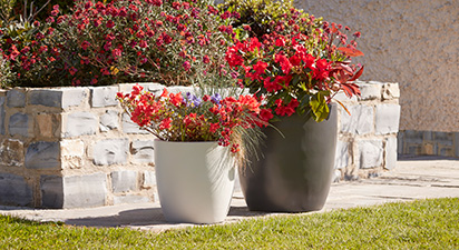 Set of 2 Oval Based Planters