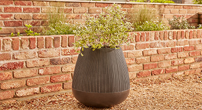 Black Ribbed Planter