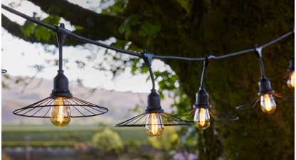 Chic Cage Hanging Lights