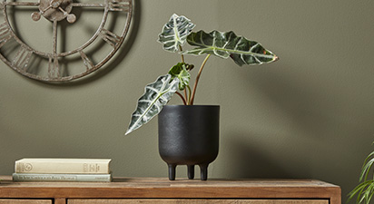 Black Standing Planter