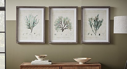 Set of 3 Botanical Framed Prints