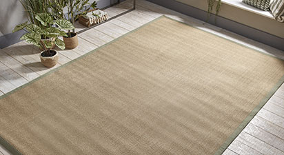 Sisal Sage/Linen Border Rug 200x300cm