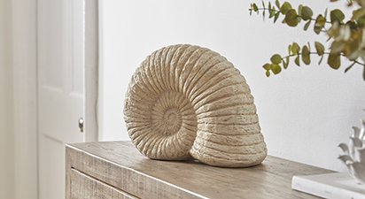 Large Ammonite Shell Decoration