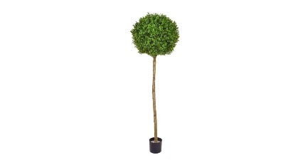 Topiary Ball Tree 150cm