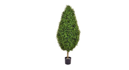 Topiary Tree 120cm