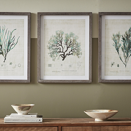 Poster images